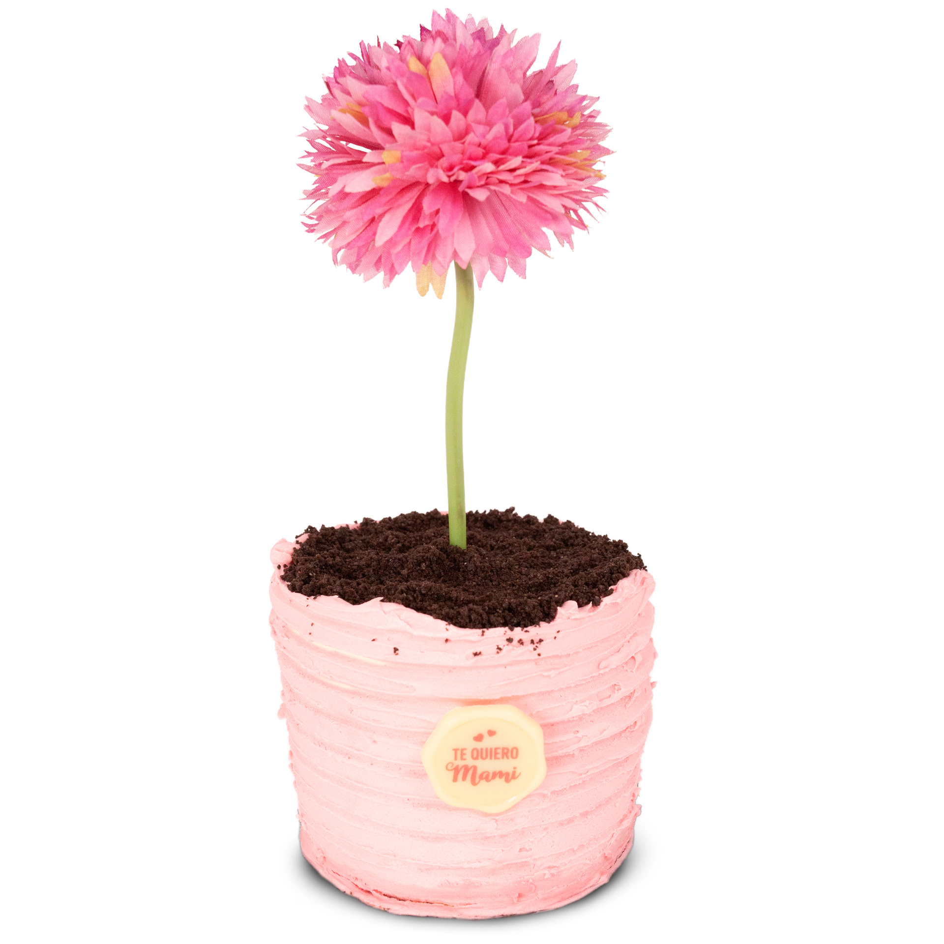 Colecci&oacute;n especial de D&iacute;a de la Madre en AMiguitas